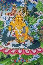 IMG_1740.webp