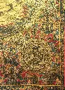 IMG_1362.webp