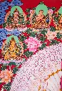IMG_4517.webp