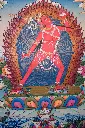 IMG_4870.webp