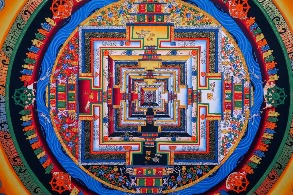 IMG_5478.webp