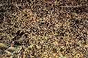 IMG_5431.webp