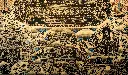 IMG_5432.webp