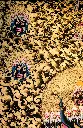 IMG_5408.webp